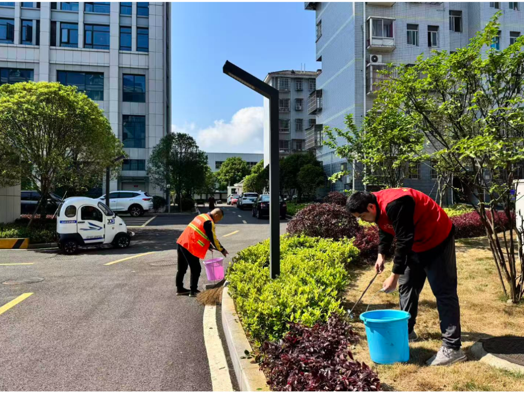 南港社区：双节传新风 劳动践初心