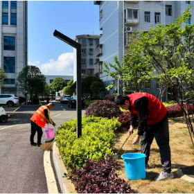 南港社区:双节传新风 劳动践初心