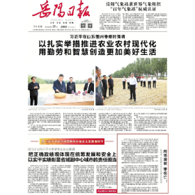 《岳阳日报》头版刊发｜两场滑坡 零伤亡！临湘市、岳阳楼区成功处置山体险情
