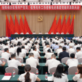岳阳楼区“两优一先”表彰大会召开
