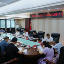 我区召开安全生产问题隐患排查整改推进会