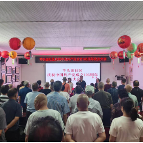 初心铸魂庆华诞 实干担当启新程——芋头田社区党委召开庆祝中国共产党成立105周年党员大会