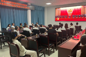 荧屏前见证荣光，档案里重温初心 ——湖南城陵矶新港区环境卫生管理所党支部开展庆“七一”主题党日活动