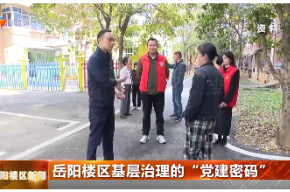 岳阳楼区基层治理的“党建密码”