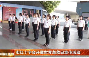 市红十字会开展世界急救日宣传活动