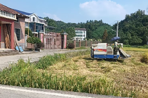 抢抓“窗口期” 筑牢“防火墙” 岳阳楼区全力打赢秸秆综合利用攻坚战