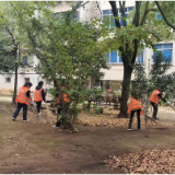 芭蕉湖社区：爱卫行动多方参与 共建美丽健康家园