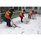 抗冰除雪 共筑平安路——城西清扫保洁管理所响应预案