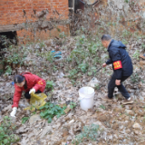 联点共建聚合力  巩固卫生城市创建