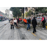 杨树塘社区:党建引领齐奋战 春节加班清理道路暖人心