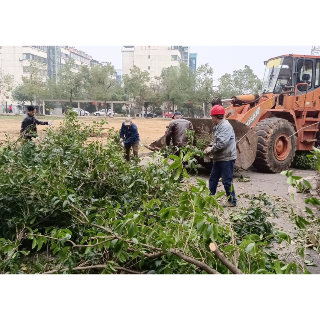 清理雪后断枝 消除安全隐患