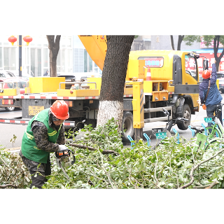 城市绿化管理中心积极应对雨雪冰冻灾后恢复工作
