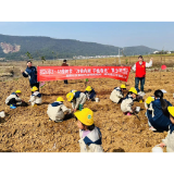 朝阳社区:万物向新 手植春光