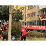 春华社区：同心护绿 共植希望