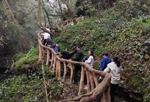 绿色健步行  奋进新征程