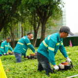 园林舞台 赛展风采