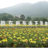 去“城市后花园”体验乡村文化游