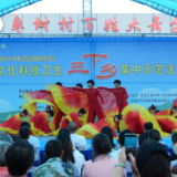 岳阳楼区举行文化科技卫生“三下乡”集中示范活动