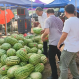 同心筑防线 齐力送温暖