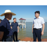 曾平原督导一线大堤防汛工作