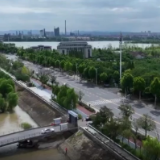 园林工人朱华桂：家里种花愉悦自己 城市护绿愉悦大家