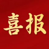 楼区疾病预防控制中心获省级荣誉