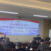 区水利局深入学习贯彻党的十九届六中全会精神