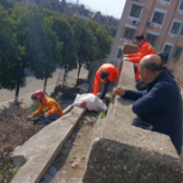 海棠社区卫生环境清理