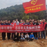 区自然资源局组织开展义务植树和项目调研活动