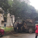旧改焕发新活力 居民主动清场地
