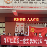 港口社区:党员助力社区疫情防控“清零扫楼”