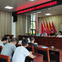 王家河街道开展青年理论学习小组联学联建活动