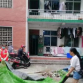 白杨坡社区：卫生大扫除 绿化社区环境