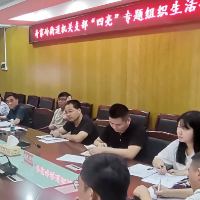 奇家岭街道召开四亮主题组织生活会