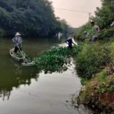 守护绿色水源 共建清洁河道