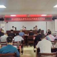 望岳路街道：迅速传达贯彻全区纪律作风 突出问题整治工作会议精神