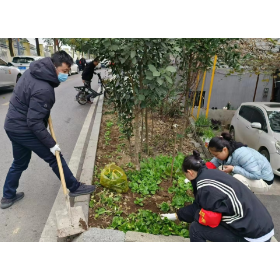 新站社区:清除小菜园,美化大家园