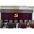 洛王街道召开2022年度 基层党组织书记述职评议大会