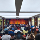 岳阳楼区卫生健康局召开 “湘易办”APP推广工作部署会