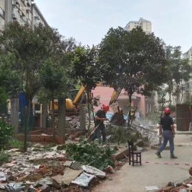 履践致远,打好违法建设治理攻坚战