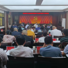 岳阳楼区卫生健康系统召开国家卫生城市复审工作推进会