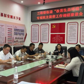 开展民主监督 推进王家河流域生态环境改善