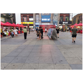 人才夜市聚人气 求职就业接地气