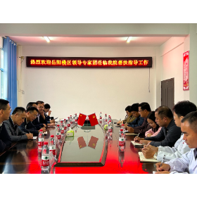 共建医疗梦想 共享健康中国——岳阳楼区卫生健康局扎实开展对口帮扶工作