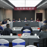 履职尽责献良策 实干笃行开新局