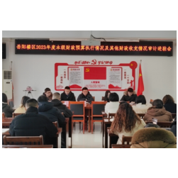 岳阳楼区审计局召开2023年度区级预算执行和其他财政收支审计进点会