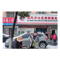 望岳路街道栖凤亭社区: 党旗领航 栖凤亭社区党委全力抗冰除雪
