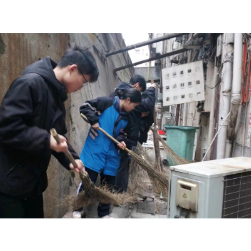 “群众齐动手，社区焕新颜”白杨坡社区院落美化活动