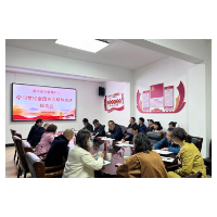 贯彻落实全国两会精神，推动新质发展