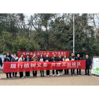 岳阳楼区林业局开展“全民义务植树”宣传活动